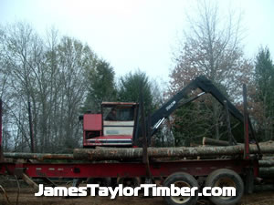 james taylor loading logs on knuckle boom